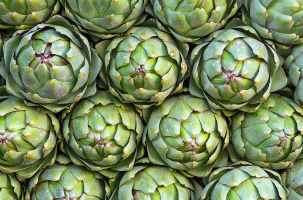 Enginar Artichoke 1