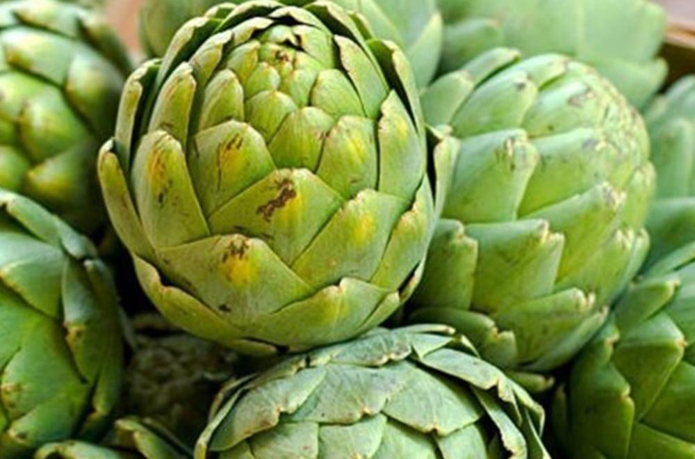 Enginar Artichoke 2