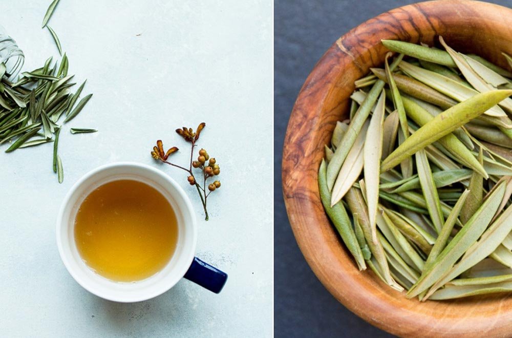 Zeytin Yaprağı Çayı Olive Leaf Tea 3