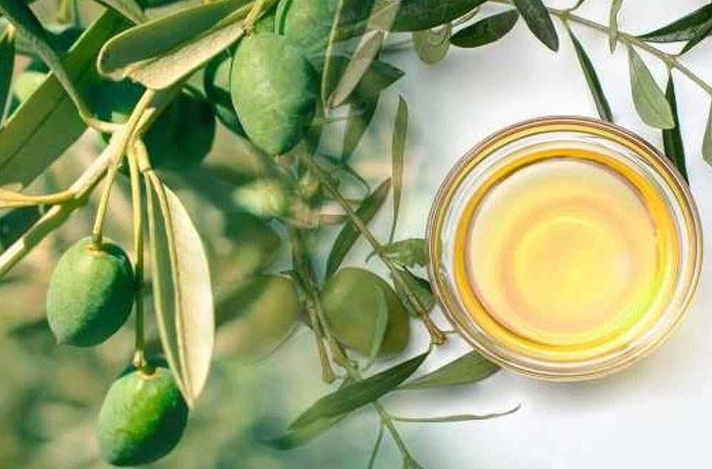 Zeytin Yaprağı Çayı Olive Leaf Tea 5