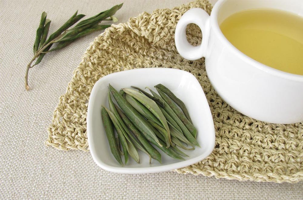 Zeytin Yaprağı Çayı Olive Leaf Tea 6
