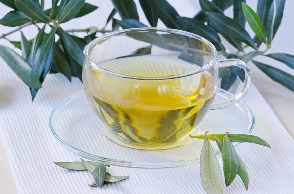 Zeytin Yaprağı Çayı Olive Leaf Tea 7