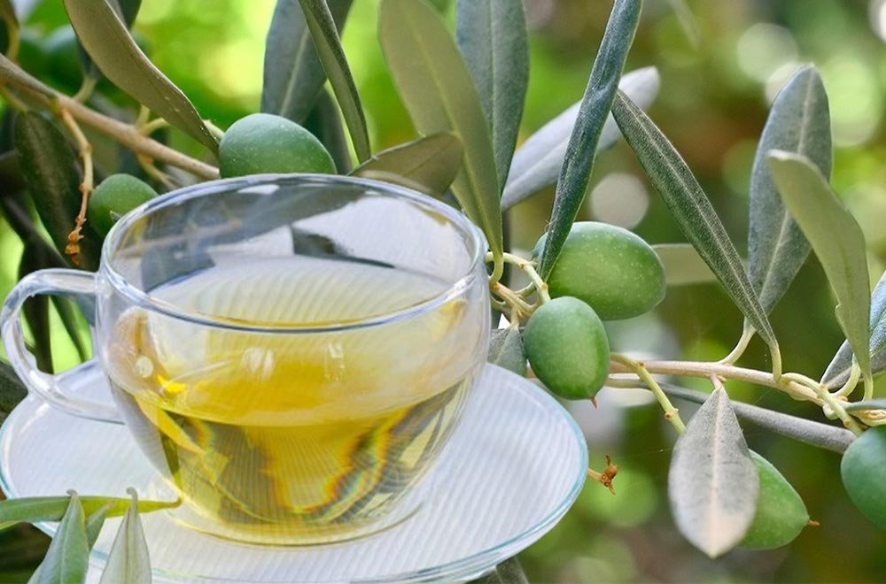 Zeytin Yaprağı Çayı Olive Leaf Tea 9