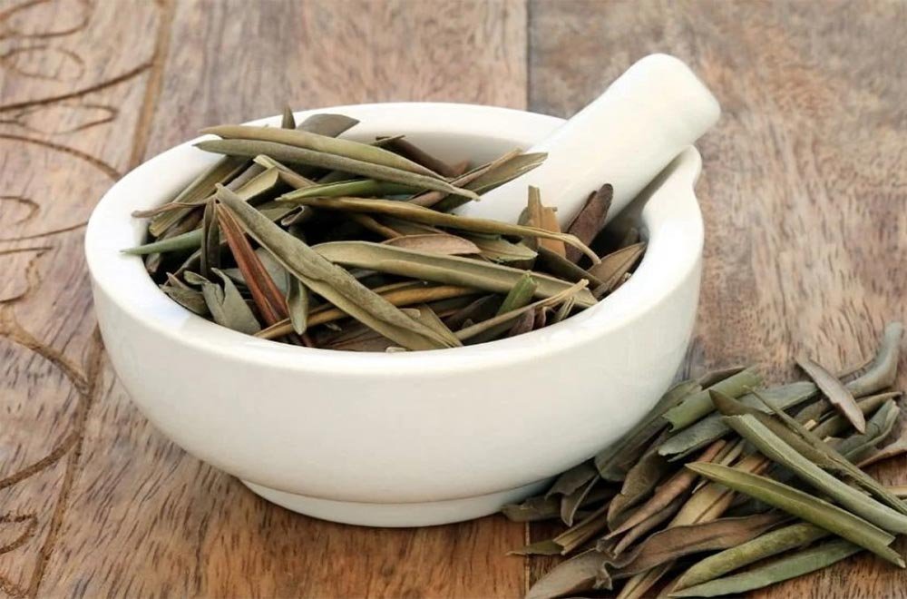 Zeytin Yaprağı Çayı Olive Leaf Tea